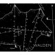 SB Walker - Walden (Kehrer, 2017)