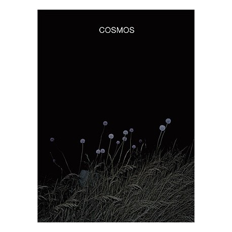 Cosmos (*signé*)