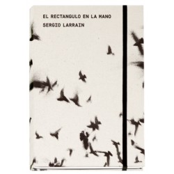 Sergio Larrain - El Rectángulo en la Mano (EXB, 2018)