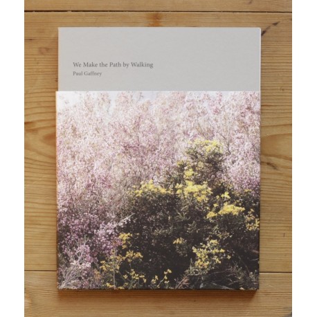 Paul Gaffney - We Make the Path by Walking (Auto-publié, 2013)