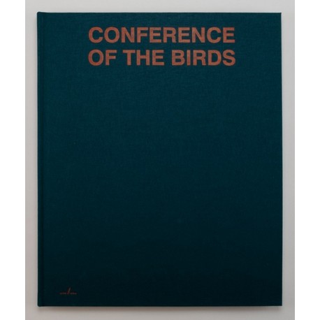 Sybren Vanoverberghe - Conference of the Birds (APE, 2019)