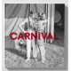 Mark Steinmetz - Carnival (Stanley / Barker, 2019)
