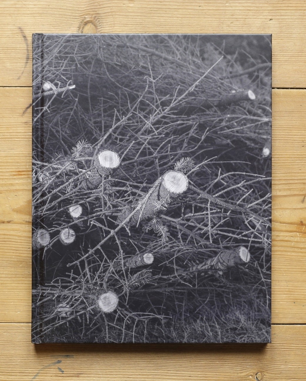 History of the Visit, photobook by Daniel Reuter