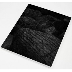 Sybren Vanoverberghe - 1099 (Art Paper Editions, 2020)