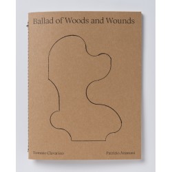 Tomaso Clavarino - Ballad of Woods and Wounds (Studiofaganel, 2020)