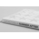 Lucas Foglia - Summer After (Stanley / Barker, 2021)