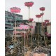Michael Wolf - Hong Kong Flora (Peperoni, 2014)