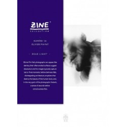 Olivier Pin-Fat - Zine N° 16 "Dead Light" (Editions Bessard, 2014)
