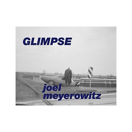Joel Meyerowitz - Glimpse (Super Labo, 2014)