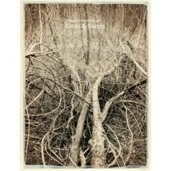 Regina Anzenberger - Roots & Bonds (Anzenberger Editions, 2015)