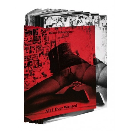 Hester L. Scheurwater - All I Ever Wanted (Editions Bessard, 2015)