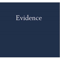 Larry Sultan & Mike Mandel - Evidence (D.A.P, 2017)