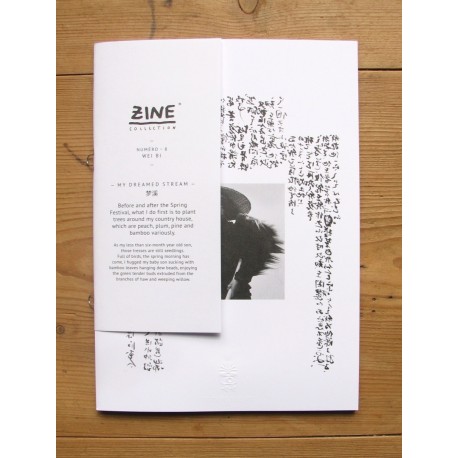 Wei Bi - Zine No. 8 - My Dreamed Stream (Éditions Bessard, 2013)