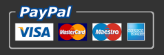 Paypal, Visa, Mastercard, AmEx, etc.
